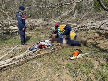 Arkadaşının Kestiği Ağacın Altında Kalarak Hayatını Kaybetti
