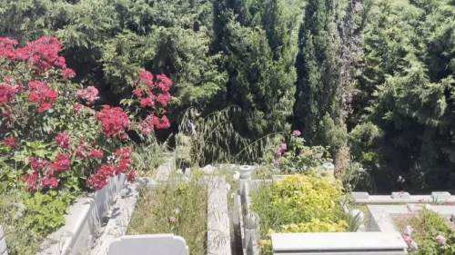 Arnavutköy Mezarlığında erkek bebek cesedi bulundu