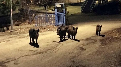 Artık alışkanlık haline geldi...