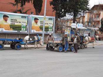 Asırlık At Arabacılık Can Çekişiyor
