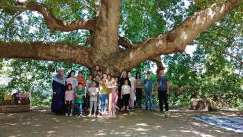 Asırlık Çınar Ağacı Altında Piknik Etkinliği

