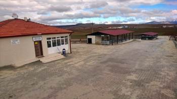 Aslanapa Canlı Hayvan Pazarı Hergün Açık Olacak
