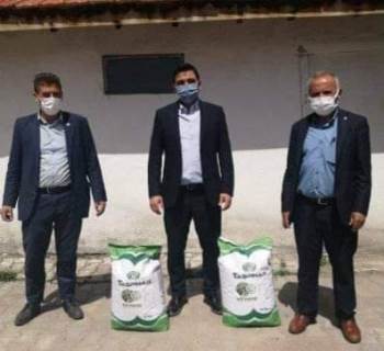 Aslanapa’Da 3 Köye Kuru Fasulye Tohumu Dağıtıldı
