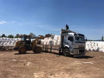 Aslanapa’Da 81 İle Silajlık Mısır Satışları Yapılmaya Başlandı
