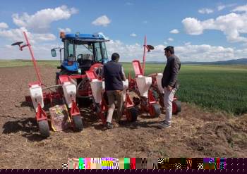 Aslanapa’Da Alternatif Ürün Ekimi Çalışmaları
