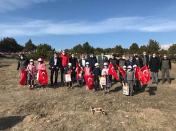 Aslanapa’Da Bin Adet Sedir Ağacı Toprakla Buluştu
