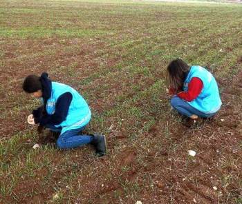 Aslanapa’Da Ekili Alalarda Fonolojik Gözlem Çalışmaları
