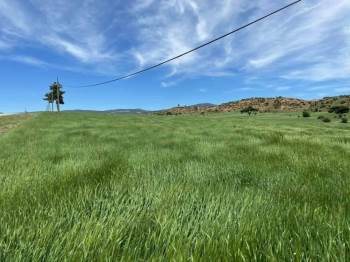 Aslanapa’Da Kuraklık Tehlikesi İddiası
