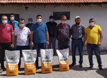 Aslanapa’Da Yılda İki Kez Mısır Hasadı Yapılacak
