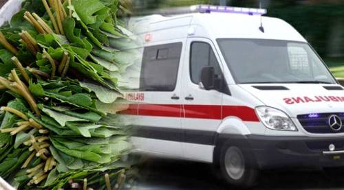 Asma yaprağı toplarken düştü hayatını kaybetti