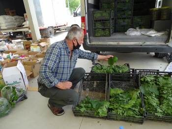 Asma Yaprağına Talep Arttı
