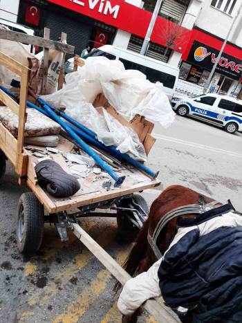 At arabasından çıktı: Kilolarca...