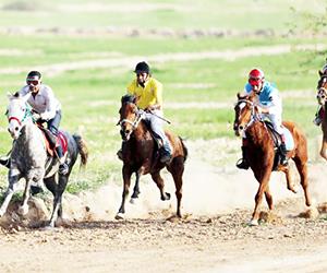 At yarışları nefes kesecek