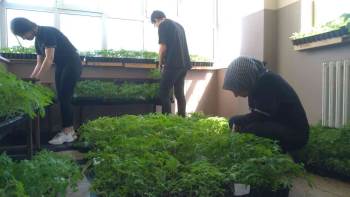 Ata Tohumları Toprakla Buluştu
