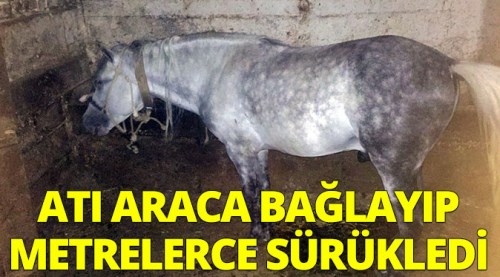 Atı araca bağlayıp metrelerce sürükledi
