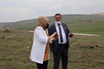 Atıl Tarım Arazileri Üretime Kazandırılıyor
