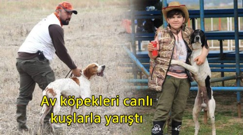 Av köpekleri canlı kuşlarla yarıştı