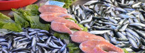 Av yasağına rağmen tezgahlar balıksız kalmıyor