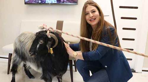 Avukat böyle bir şeyi beklemiyordu!