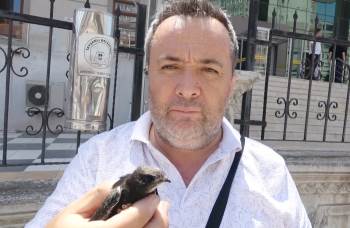 Ayağına İp Takılmış Ebabil Kuşu Doğa Ve Milli Parklar Yetkililerine Teslim Edildi
