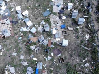 Ayılar Aç Kalınca Kent Merkezine İndi
