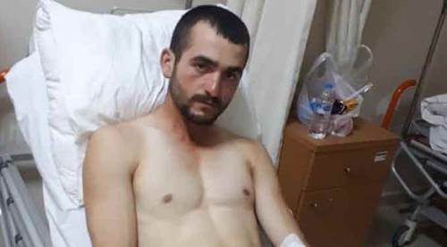 Ayının saldırdığı adamı köpekler kurtardı!