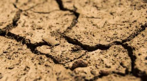 Ayşe Ünlüce: Eskişehir’in en bereketli toprakları orada...