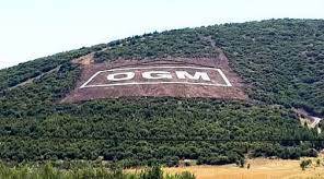 B tipi orman yolu yaptırılacak