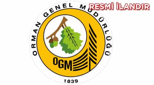 B Tipi Yeni Orman Yolu yapım işi