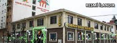 B Tipi Yeni Orman Yolu Yapımı