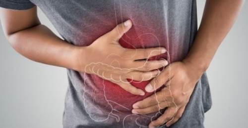 Bağırsak florasını güçlendiren besinler ve günlük alışkanlıklar