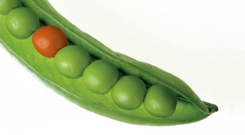 Bağırsak Kanserini Önleyen Besin Üçlüsü: Lif Tüketimini Artırıyor