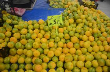 Bağışıklık Sistemini Güçlendiren Mandalina Yoğun İlgi Görüyor
