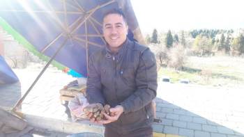 Bağışıklık Sistemini Güçlendiren Yer Elması İlgi Görüyor
