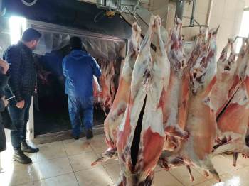 Bağışlanan Büyük Ve Küçükbaş Hayvanlar Kesilerek Deprem Bölgesine Gönderildi
