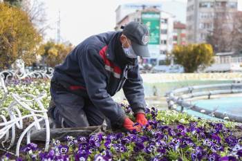 Bahar Hazırlıkları Başladı
