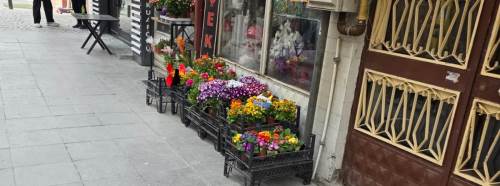 Baharın gelişi Eskişehir’de caddeyi çiçeklerle doldurdu