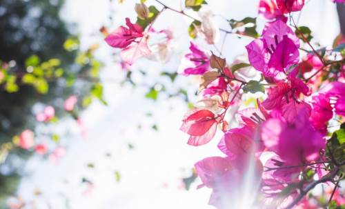 Baharın müjdeleyicisi 3. cemre düştü: Sıcaklar 4 derece artacak!