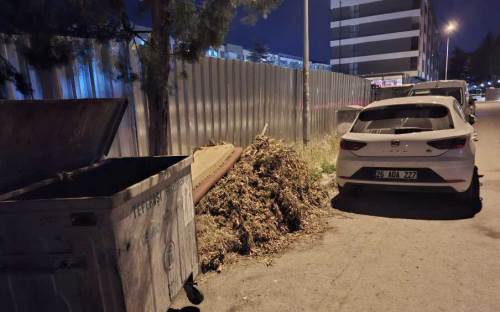 Bahçe atıkları konteynerin yanına bırakıldı, çevre kirliliği oluştu