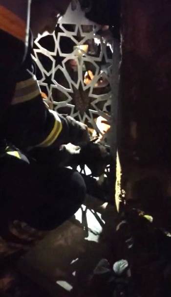 Bahçe Kapısına Sıkışan Yavru Köpek İşte Böyle Kurtarıldı
