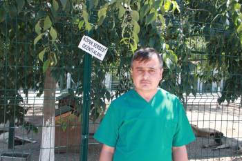 Bahçe Ve Balkonlarda Uzun Süre Ağzı Açık Bırakılan Su Birikintilerinde Sivrisinek Riski
