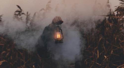 Bahçemde, Tarlamda Yangın Çıkarsa Ne Yapmalıyım? Yangın Güvenliği İçin Kapsamlı Rehber