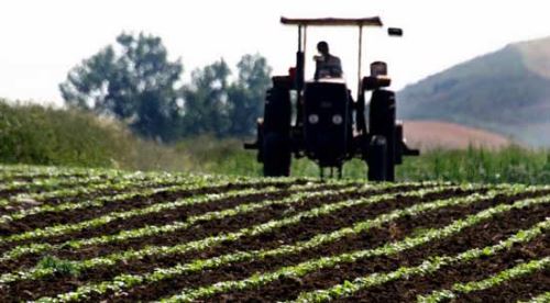 Bakan Fakıbaba çiftçilere müjdeyi verdi