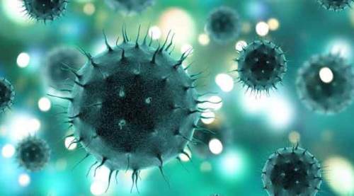 Bakan Koca son verileri açıkladı