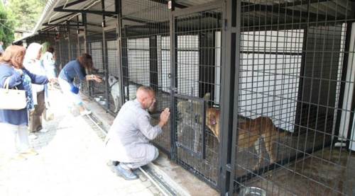 Bakanlığın Eskişehir kararına tepki: Turşusunu mu kuracaksınız?