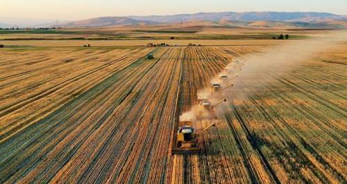 Bakanlıktan 248 milyon Euro'luk rekor destek: İşte başvuru tarihleri...