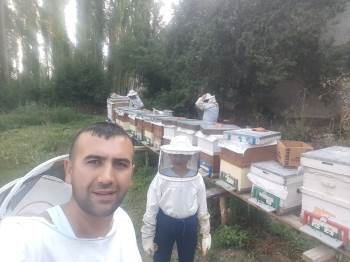 Bal Arıları Petek Üzerinde Ay Yıldız Şekli Oluşturdu
