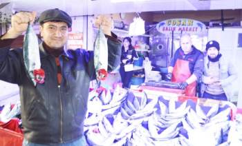 Balık Pazarında Palamut Revaçta
