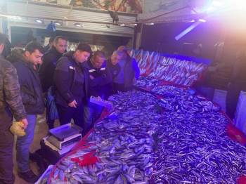 Balık Satış Yerlerine Denetim Yapıldı
