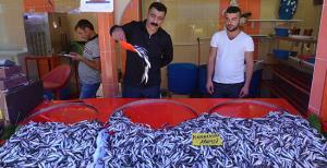 Balık tezgahları şenlendi